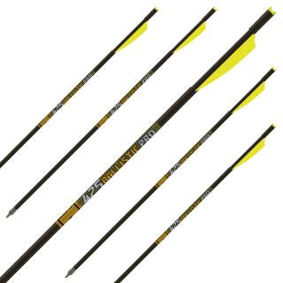 Crossbow bolt | GOLD TIP Ballistic Pro - Carbon - 22 inches