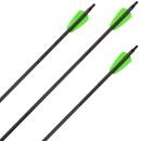 EK ARCHERY Whipshot - 15 Inches - Carbon arrows