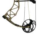 BEAR ARCHERY Arco compound Adapt