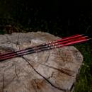 Flecha Completa | SPIDERBOWS Raven.One KevTech - 6,2mm -...