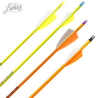 Complete arrow | SPHERE Lumos 6.2 - Carbon