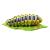 InForm 3D caterpillar