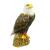 Águila calva InForm 3D