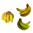 InForm 3D Banane, verschiedene Formen
