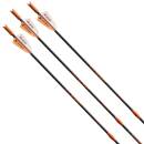 Crossbow bolt | VICTORY ARCHERY VooDoo - Carbon - 20 Inch...