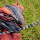 Komplettpfeil | SPHERE Ghost 4.2 - Carbon
