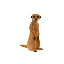 LONGLIFE Suricate debout