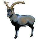 SRT Iberian Ibex