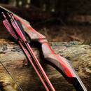 SPIDERBOWS - Hawk - SWS - 60-66 pouces - 25-50 livres - Arc recurve d&eacute;montable