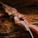 SPIDERBOWS - Hawk - SWS - 60-66 pouces - 25-50 livres - Arc recurve d&eacute;montable