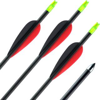 Complete arrow | 41-55 lbs | Carbon Arrow | ExoSPHERE Prime - with Vanes | Spine 400 | 32 inches
