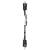 BOWTECH Core SS - 40-70 lbs - Arc à poulies