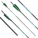 Complete arrow | SPHERE Hunter Pro - Carbon - Natural...