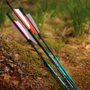 Complete arrow | SPHERE Hunter Pro - Carbon - Natural...