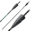 Complete arrow | SPHERE Hunter Pro - Carbon - Natural...