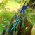 Complete arrow | SPHERE Hunter Pro - Carbon - Natural feathers | Spine: 800 | Length: 26 inch