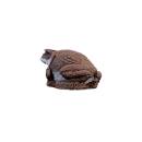WILDCRETE 3D Aga - Crapaud