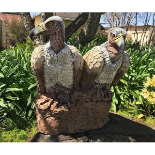 WILDCRETE 3D Vautour (couple)