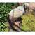 WILDCRETE 3D Vautour (couple)