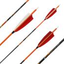 Komplettpfeil | PyroSPHERE Slim - Carbon - Naturfedern |...