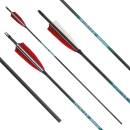 Complete arrow | SPHERE Hunter Pro - Carbon - Natural...
