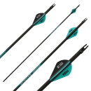 Fl&egrave;che compl&egrave;te | SPHERE Hunter Pro - Carbon - Plumes naturelles | Spine: 800 | Longueur: 32 pouces