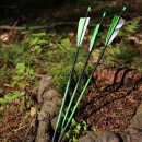 Fl&egrave;che compl&egrave;te | SPHERE Slimline Pro - Carbon - Plumes naturelles | Spine: 900 | Longueur: 28 pouces