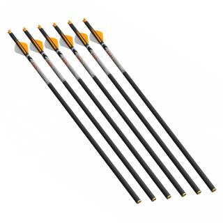 Flechas Ballesta | RAVIN CROSSBOWS .001 R500 Series...