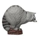 IBB 3D Raccoon - Zorro