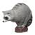 IBB 3D Raccoon - Zorro