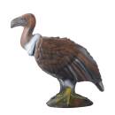 LONGLIFE Vautour moine