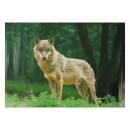STRONGHOLD Animal Target Face - Wolf - 30 x 42 cm -...