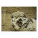 STRONGHOLD Animal Target Face - Threatening Wolf - 30 x...