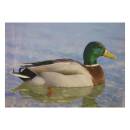 STRONGHOLD Diana 2D - Duck II - 30 x 42 cm -...