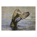 STRONGHOLD Diana 2D - Duck III - 30 x 42 cm -...