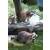 STRONGHOLD Diana 2D - mapaches - 42 x 59 cm - hidrófugo/resistPato a los desgarros