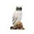 LEITOLD Snow Owl